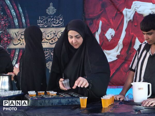کاروان های پیاده زائران در مسیر حرم ثامن الحجج
