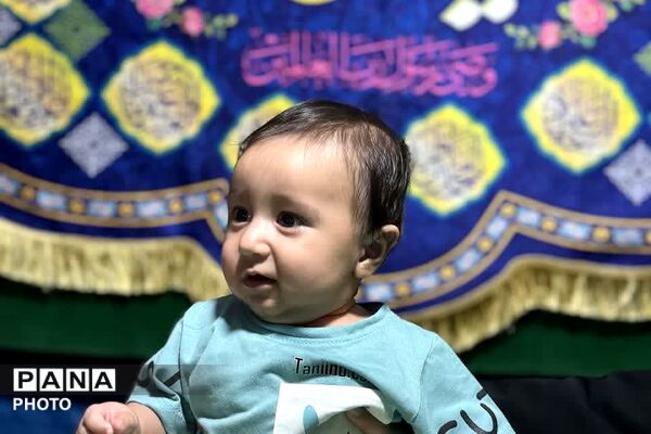 نبض شهر به عشق علی(ع) تپید