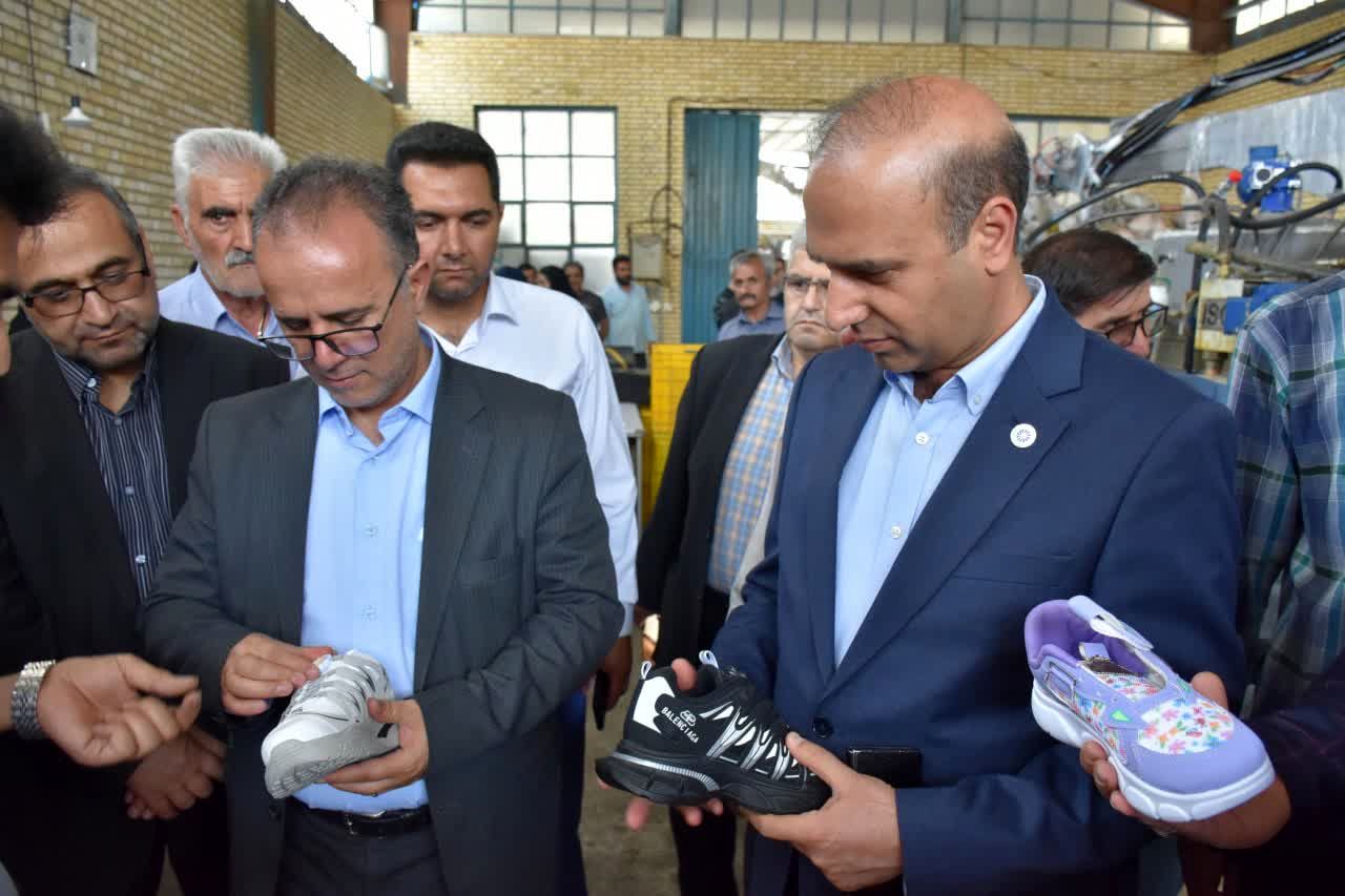 تاسیس انجمن تخصصی صنایع کفش هیدج امری ضروری است