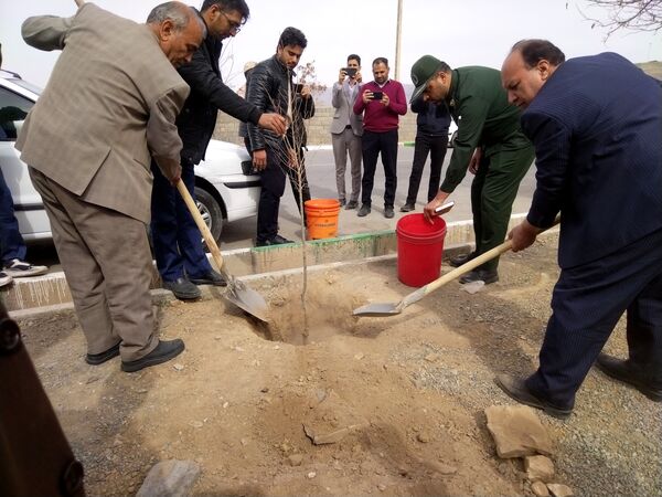 مراسم درخت کاری در مدرسه پویندگان فرهنگ شهرستان خلیل آباد 