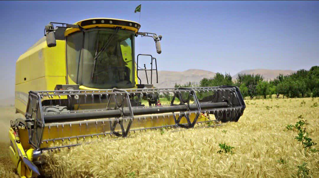 شازند؛ روایت پایداری در عصر فرسایش خاک و فراموشی آب