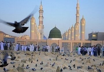 دکلمه‌خوانی خبرنگار پانا به مناسبت ولادت امام حسن مجتبی(ع)