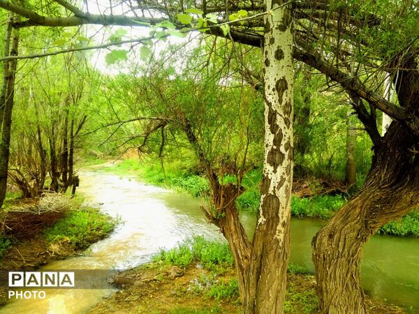وانان، تابلوی بی‌بدیل خالق، شکوه رنگ‌ها و عظمت کوهستان
