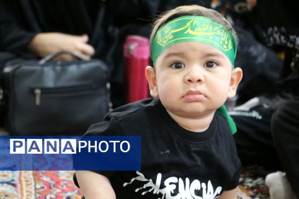 شیرخوارگان فهرجی بیمه طفل شهید کربلا شدند 