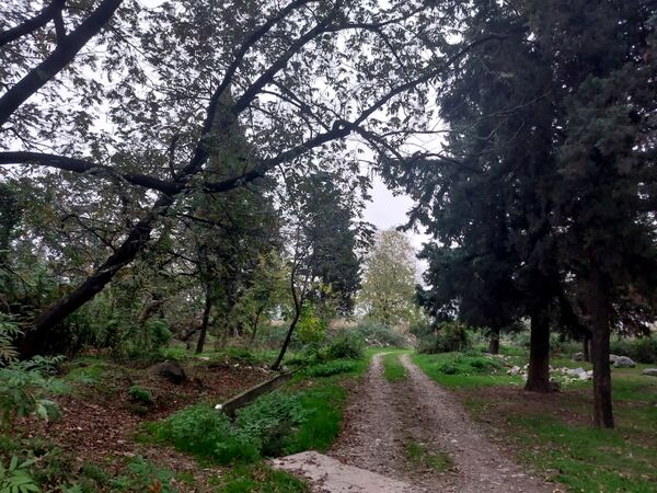 کردکوی، سرسبزترین شهرستان گلستان