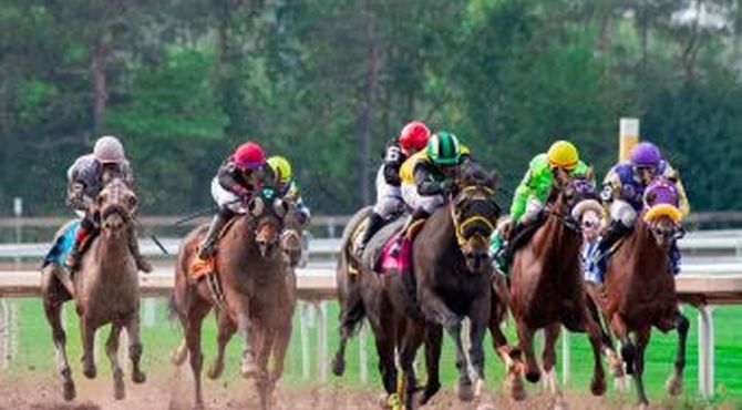 کورس پاییزه سوارکاری گلستان فردا در گنبدکاووس کلید می‌خورد