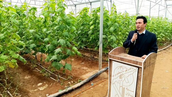 بازدید از گلخانه نمونه خسروشاه در هفته بسیج