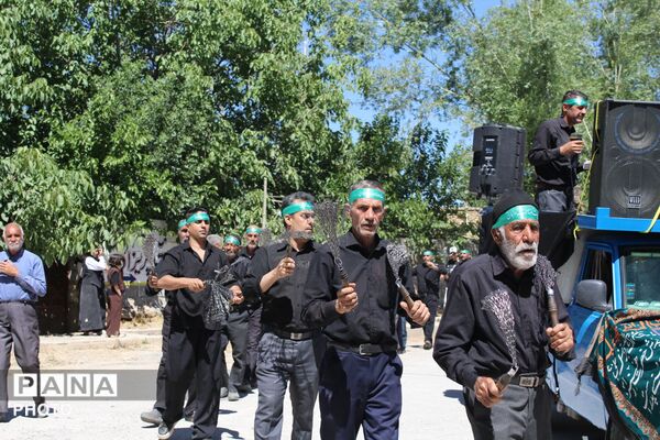 شورِ شیدایی در هرچگان
