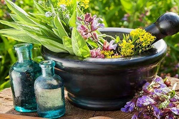 مستند «حنیر»؛ روایتی دلنشین از سنت‌های کهن هرمزگان در قاب شبکه دو