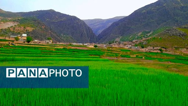 هنر در طبیعت نهفته است