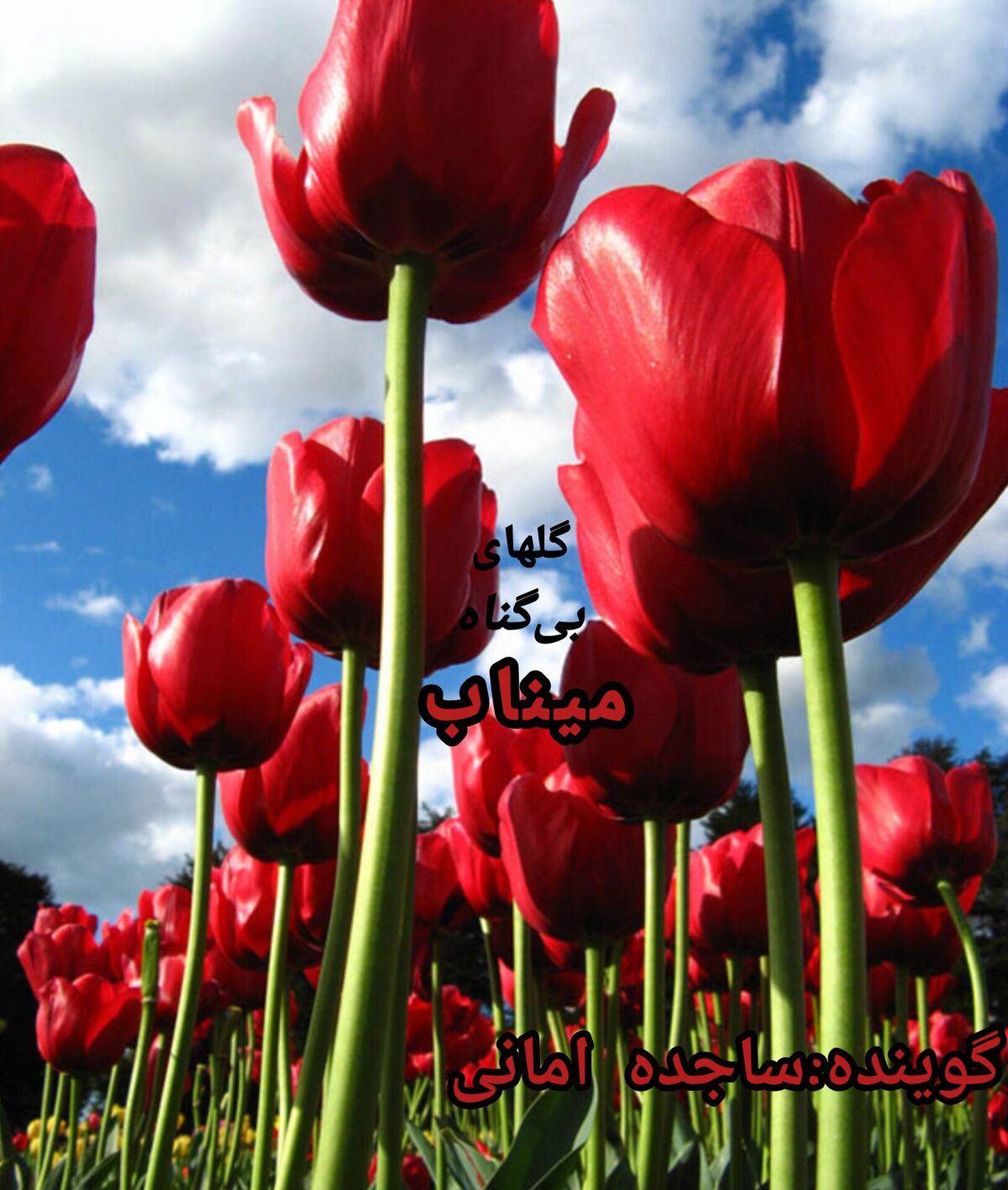 میناب در چهلمین روز شهادت؛ از بمباران اسرائیل تا رویاهای بر باد رفته کودکان