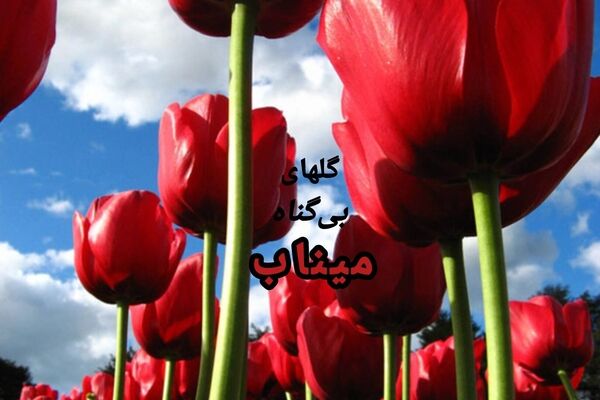 میناب در چهلمین روز شهادت؛ از بمباران اسرائیل تا رویاهای بر باد رفته کودکان