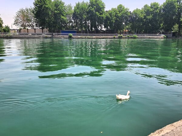بازدید از باغ وحش ارم ،تجربه‌ای بی‌نظیر در دنیای شگفت‌انگیز حیوانات 