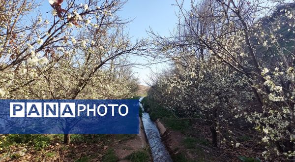 رویداد آیین باستانی سیزده بدر نیشابور در روز طبیعت از  قاب خبرنگاران پانا