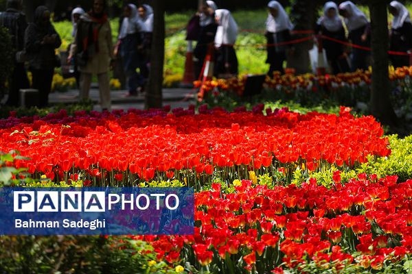 فصل لاله‌ها در بوستان باغ ایرانی
