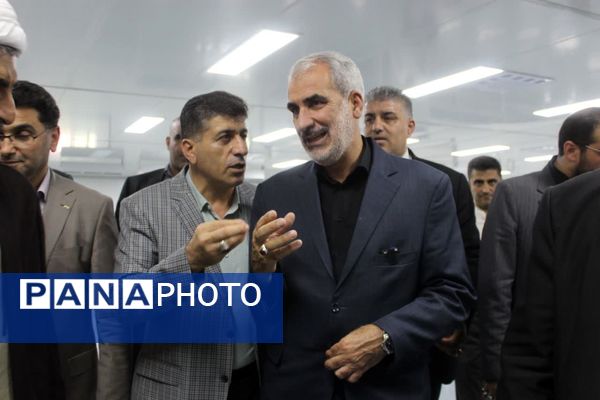 بازدید معاون قوه قضاییه و استاندار مازندران از ناحیه صنعتی گلوگاه 