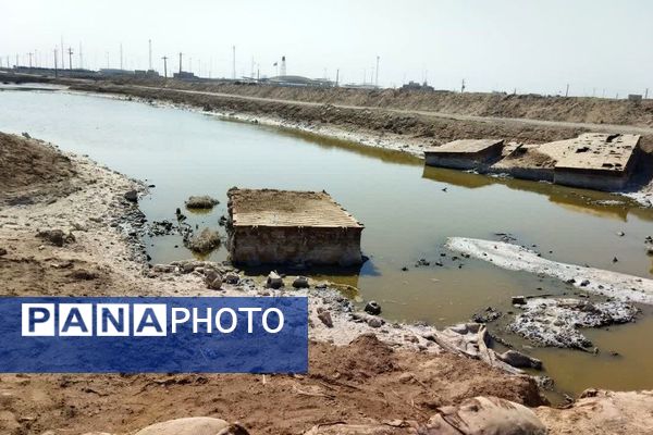 کاروان دل‌ها؛ سفر دانش‌آموزان دختر به دیار ایثار