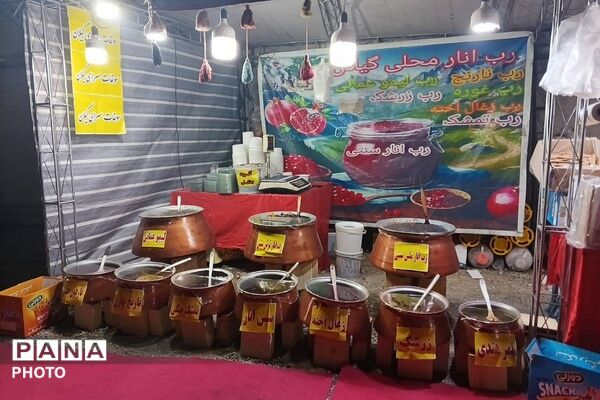 جشنواره گلاب گیری میناب با عطر شهدا 