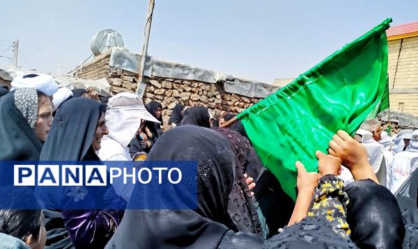 کاروان پیاده انصارالحسین به منطقه خانمیرزا رسید 