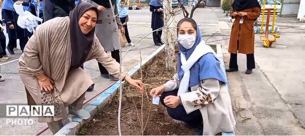 درختی برای زندگی؛ یادواره‌ای برای شهدا