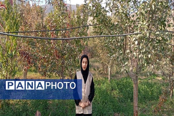 تصاویر زیبا از پاییز رنگارنگ در شهر دار السادات بار نیشابور 