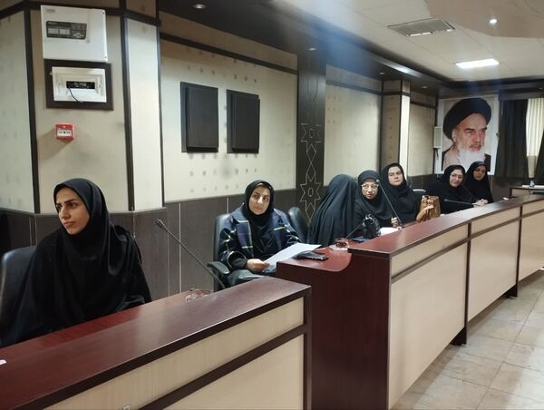  کارگاه بهداشت سلامت روانی خانواده و فرزند پروری در میاندورود 