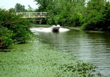تأمین ۲۰ میلیون مترمکعب آب برای احیای تالاب بندعلیخان ورامین