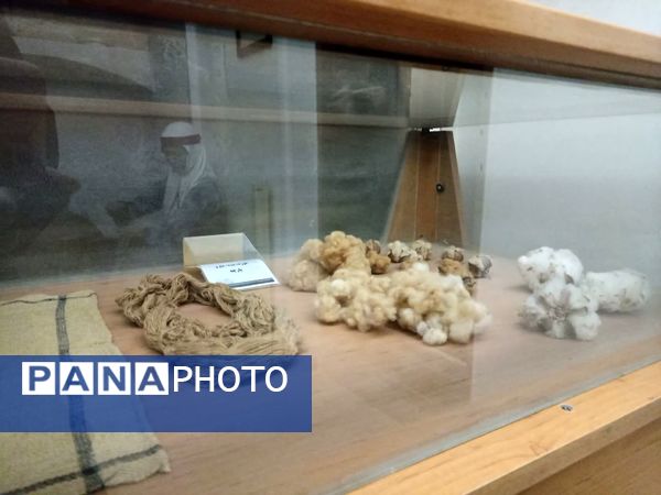  «باغ اکبریه» بیرجند