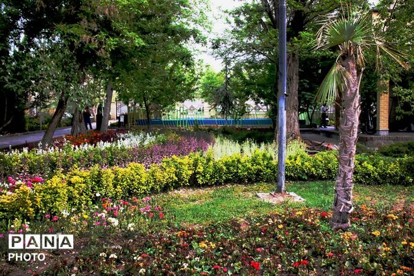 طبیعت زیبای همدان در قاب دوربین