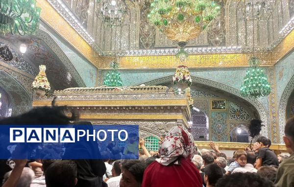 سیل عظیم زائران و مجاوران حرم امام رضا (ع) در روز آغاز امامت حضرت مهدی (عج)