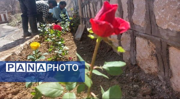 کاشت گل و گیاه در شهر منج، راهی برای احیای زمین