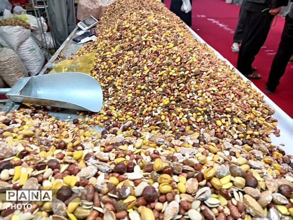 جلوه‌هایی از مراسم افتتاح نمایشگاه بهاره شهر جعفریه
