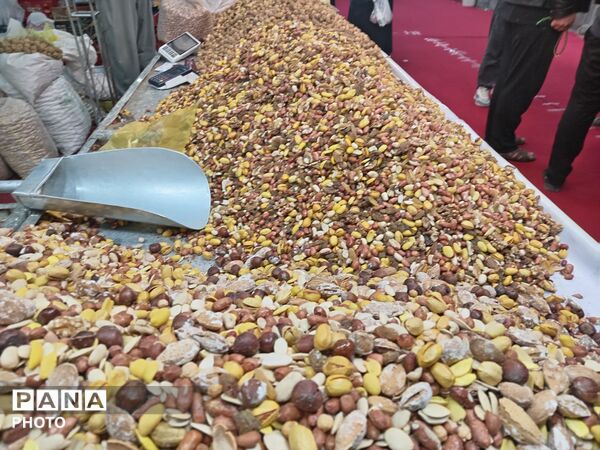 جلوه‌هایی از مراسم افتتاح نمایشگاه بهاره شهر جعفریه