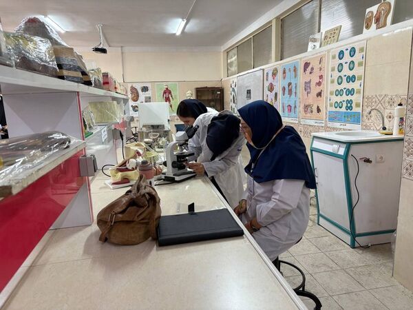  مرحله منطقه‌ای محور فعالیت‌های آزمایشگاهی یازدهمین جشنواره نوجوان خوارزمی در البرز