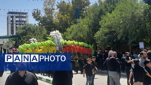 جاماندگان اربعین حسینی در مسیر حرم مطهر امام مهربانی