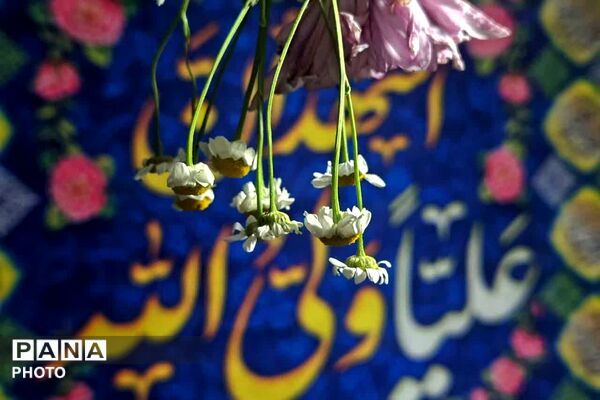 نبض شهر به عشق علی(ع) تپید