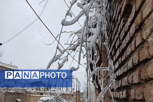 آلبوم تصویری از برف در طبیعت شهر بار 