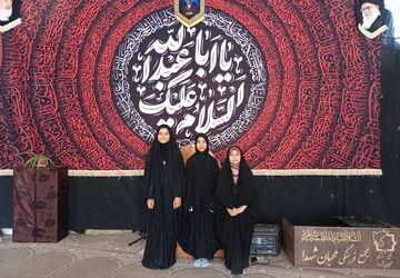 چراغ راه عزای سیدالشهدا در فیروزآباد