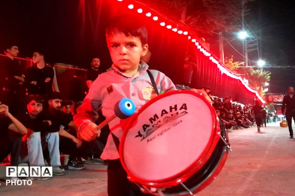 از کربلا تا ایران؛ عزاداران حسینی با پرچم ایران، پیام وحدت و استقامت را فریاد زدند