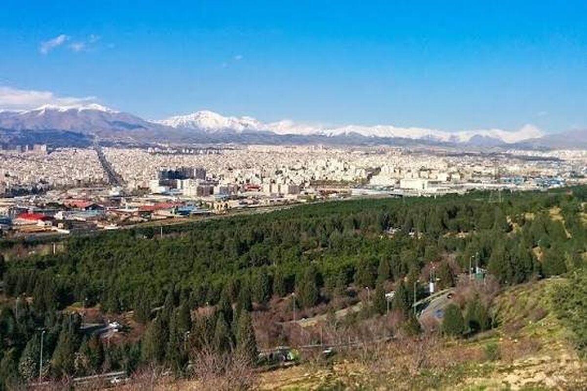 کاشت بیش از ۳۳ هزار نهال به نام امام علی(ع) و سردار سلیمانی در بوستان سرخه‌حصار