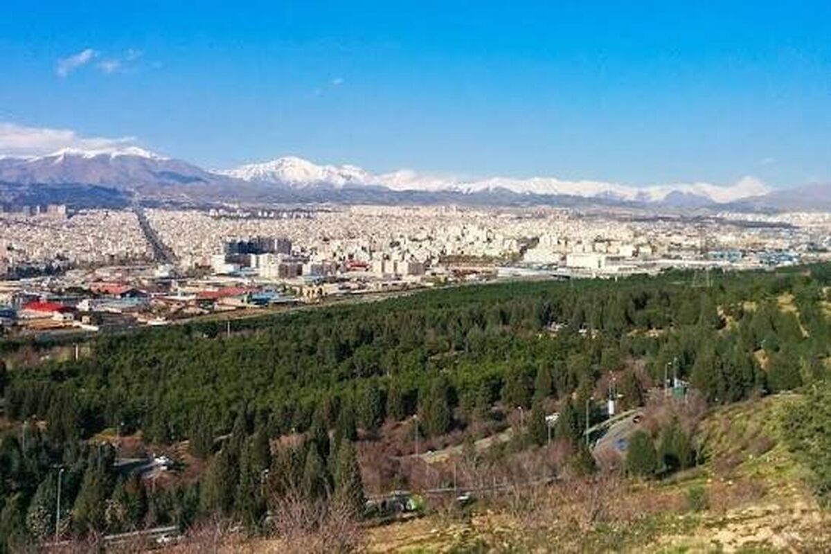 کاشت بیش از ۳۳ هزار نهال به نام امام علی(ع) و سردار سلیمانی در بوستان سرخه‌حصار