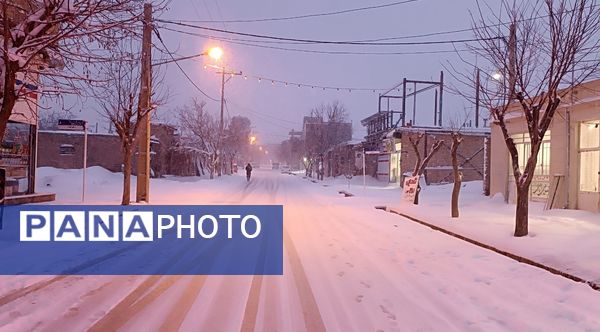 نسر در آغوش برف بهاری؛ زیبایی طبیعت دوچندان شد 