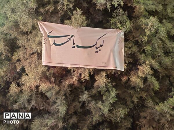 بلوار فضل، صحنه عشق و ارادت ملت به رهبر در شبی دیگر