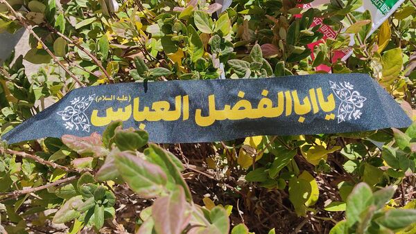 پرستو بی‌نام  در آشیانه شهر دستنا 