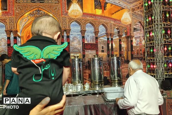 طوفان نور در سفینه‌النجاة شیراز
