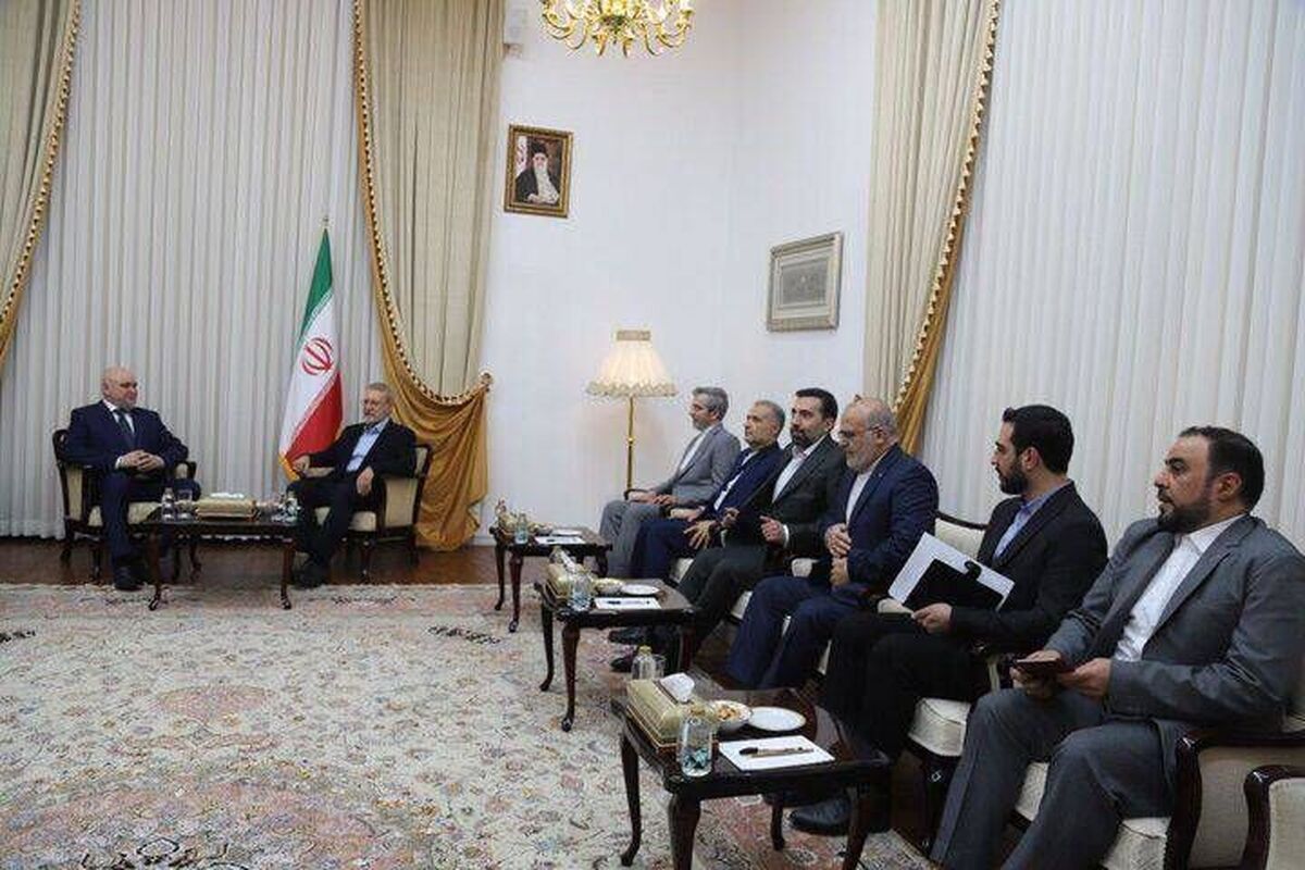 دیدار دبیر شورای عالی امنیت ملی با وزیر انرژی روسیه