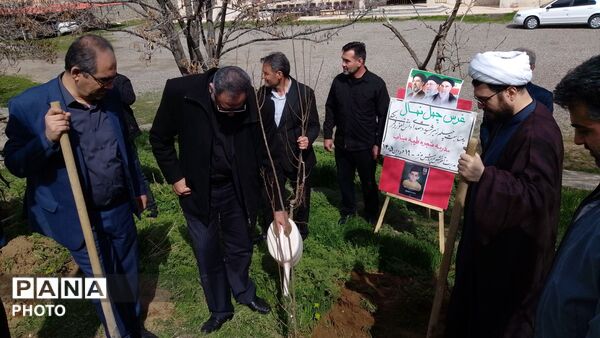 غرس نهال مثمر در کانون فرهنگی هنری شهید فهمیده مرند 