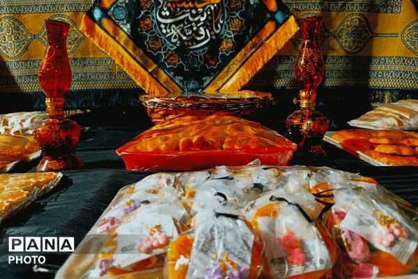 لالایی ناتمام خرابه شام؛ آباده در سوگ دردانه سیدالشهدا(ع)