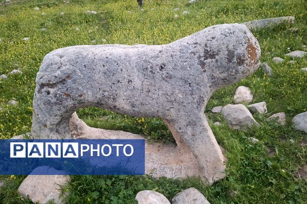 قبرستانی تاریخی و سرسبز به قدمت چند صد ساله در فارس