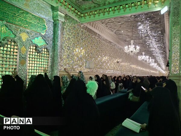 حرمی که هر گوشه اش یک روایت است؛ بارگاه علی ابن موسی رضا(ع) در قاب تصویر